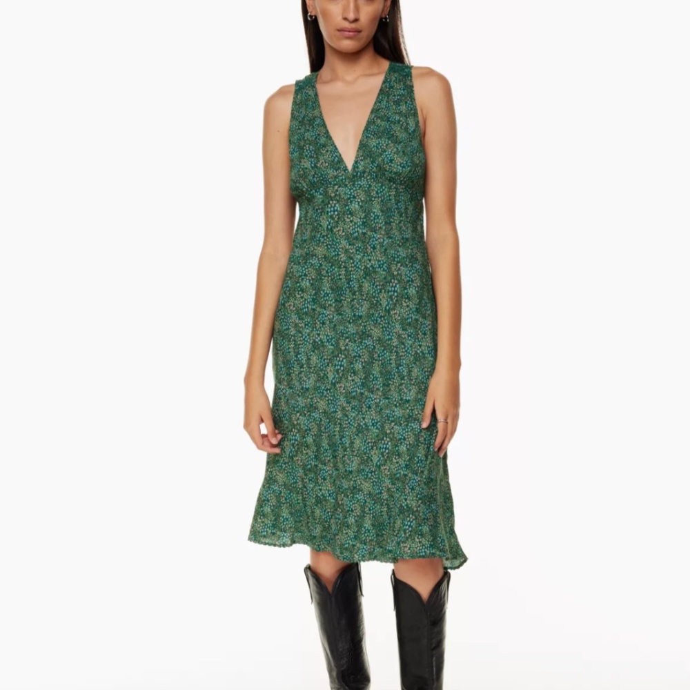 Aritzia Orchestra Dress